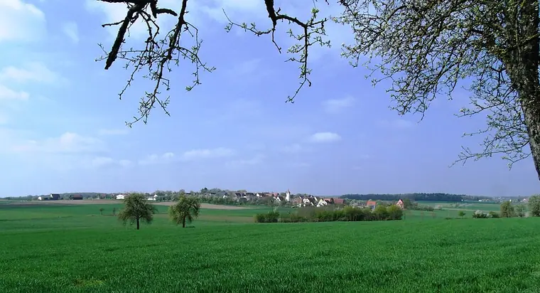 Ortsansicht von Adelshofen