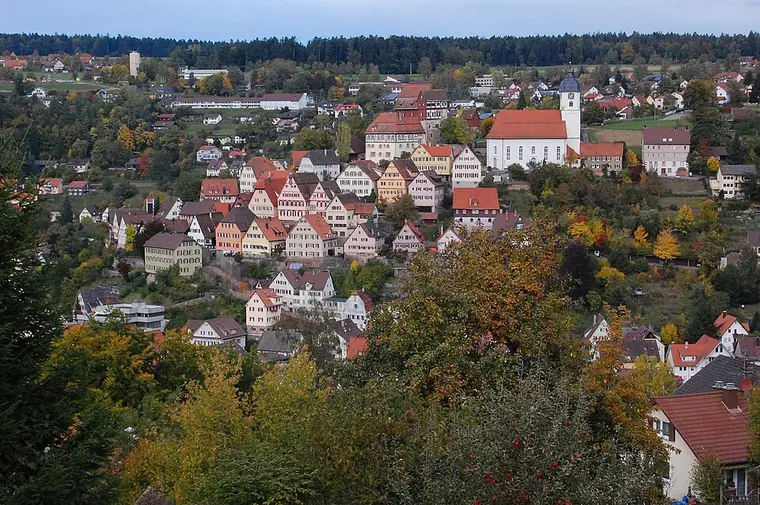 Ortsansicht von Altensteig