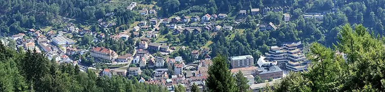 Ortsansicht von Bad Wildbad