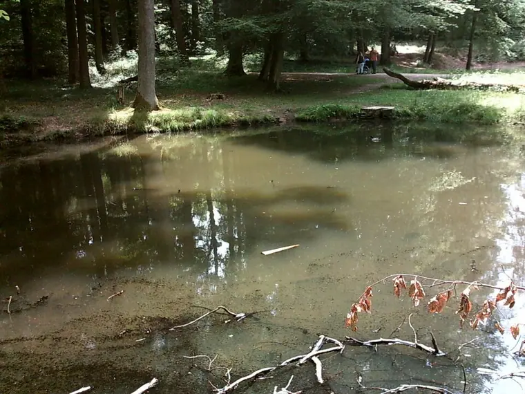 Ortsansicht von Baltmannsweiler