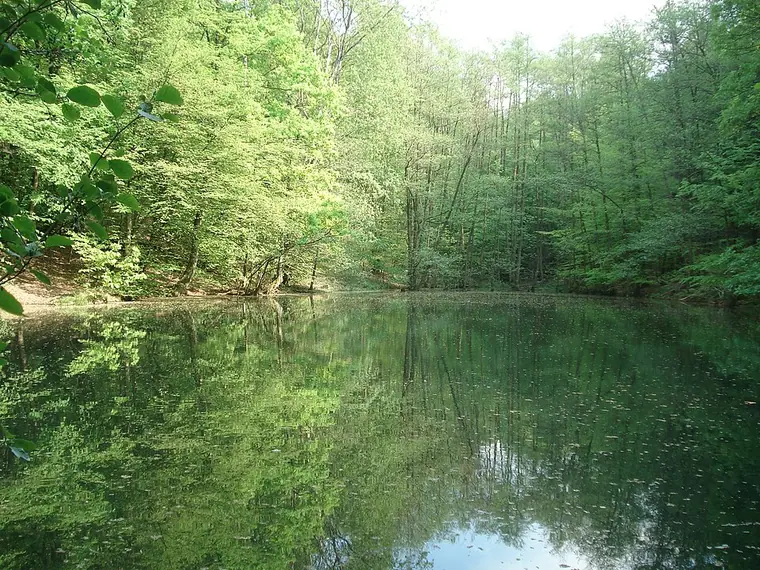 Ortsansicht von Bessenbach