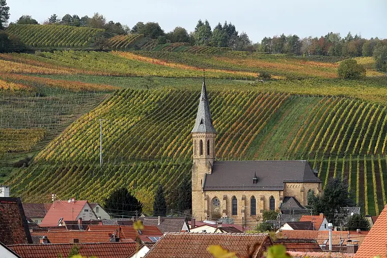 Ortsansicht von Birkweiler