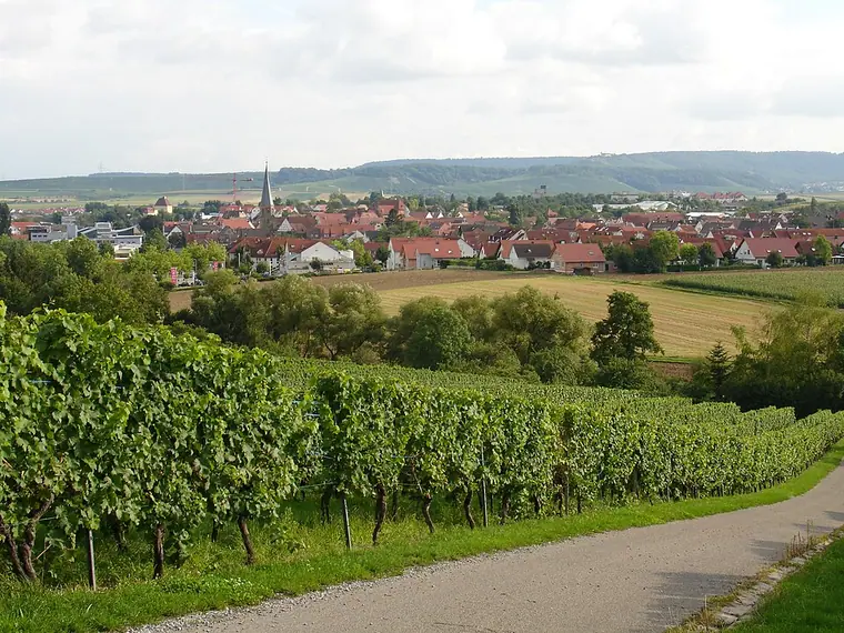 Ortsansicht von Brackenheim