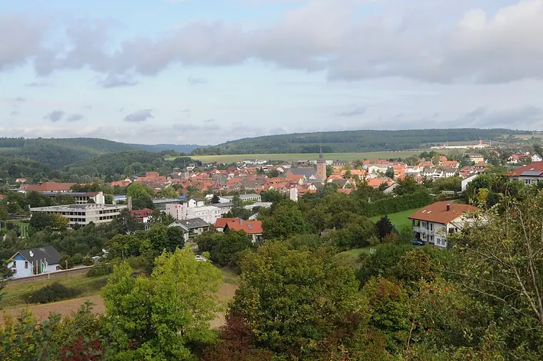 Ortsansicht von Buchen