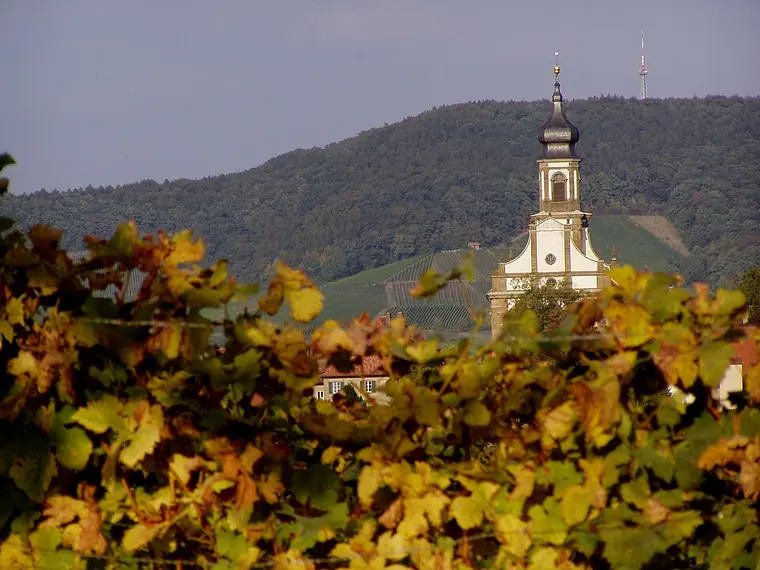 Ortsansicht von Castell