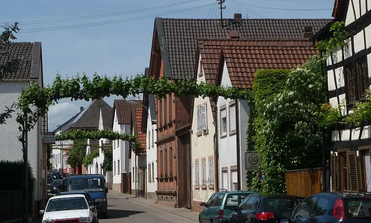 Ortsansicht von Ellerstadt