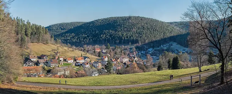 Ortsansicht von Enzklösterle