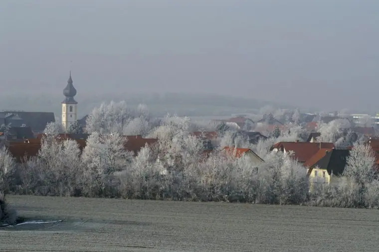 Ortsansicht von Erbes-Büdesheim