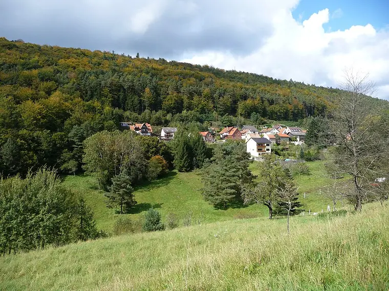 Ortsansicht von Esthal