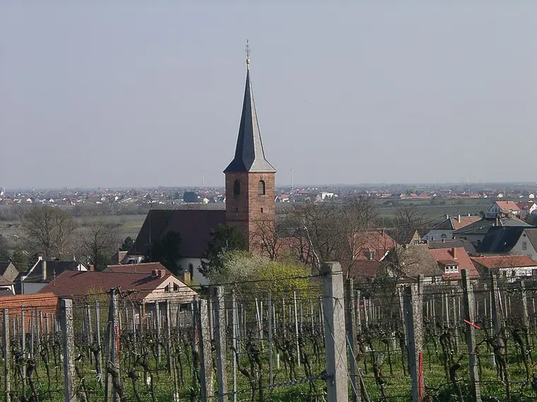 Ortsansicht von Forst an der Weinstraße