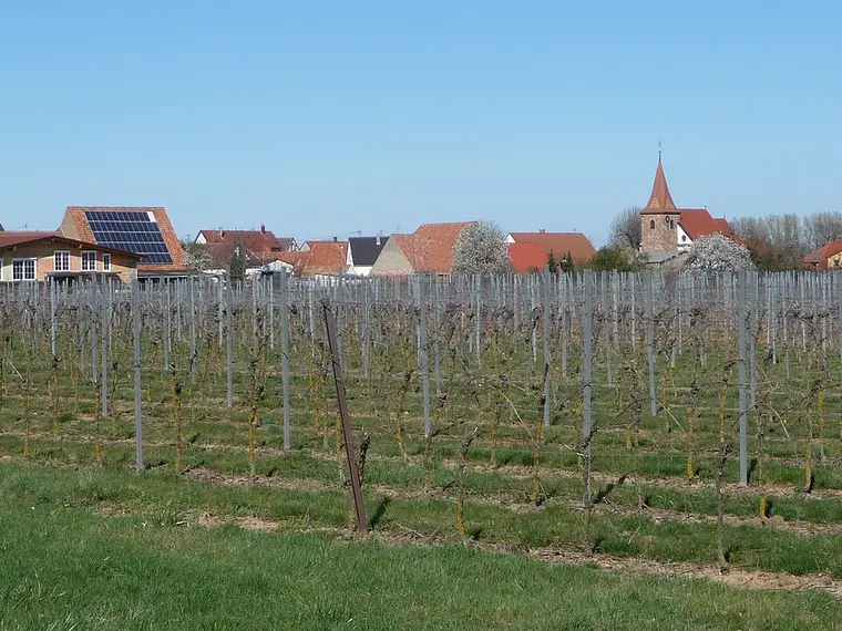 Ortsansicht von Freimersheim (Landkreis Südliche Weinstraße)