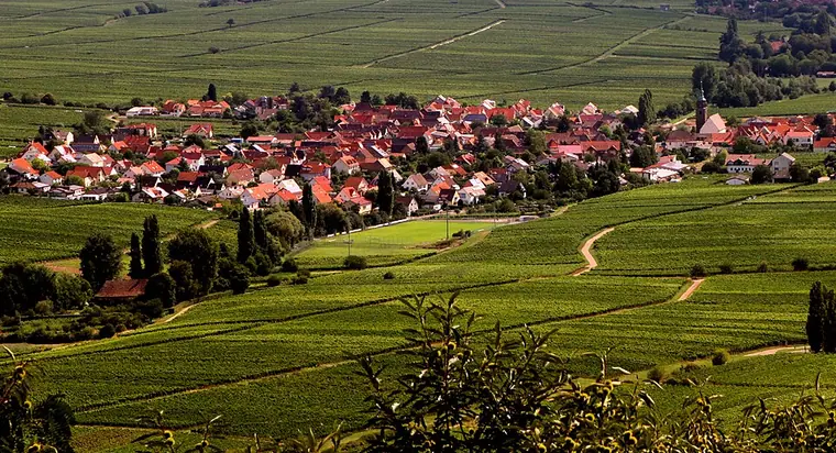 Ortsansicht von Hainfeld