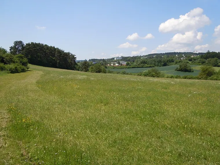 Ortsansicht von Haiterbach