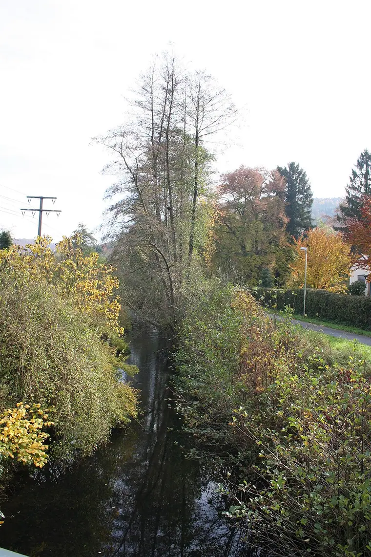 Ortsansicht von Heimbuchenthal
