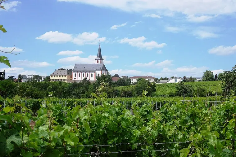 Ortsansicht von Hochheim am Main
