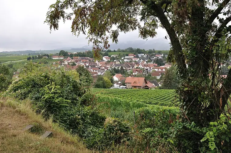 Ortsansicht von Ilbesheim bei Landau in der Pfalz