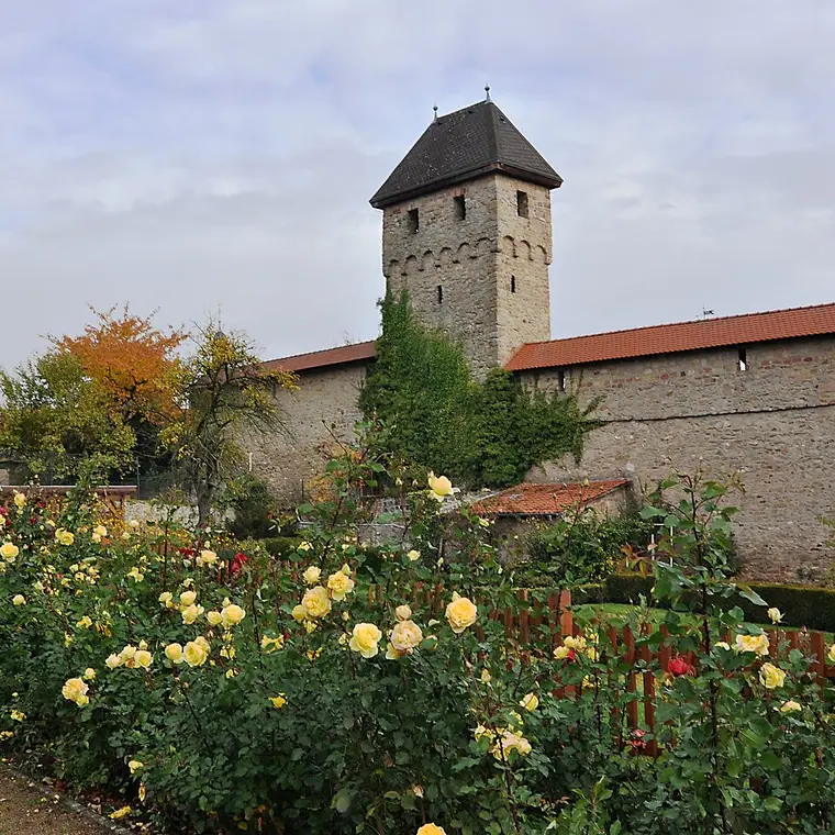 Ortsansicht von Kirchheimbolanden