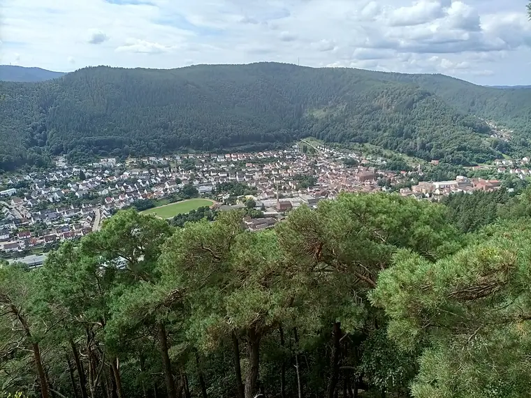 Ortsansicht von Lambrecht