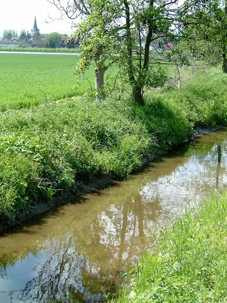 Ortsansicht von Laumersheim