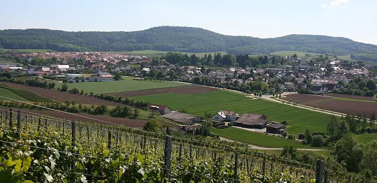 Ortsansicht von Lehrensteinsfeld