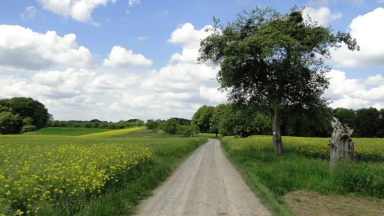 Ortsansicht von Leidersbach