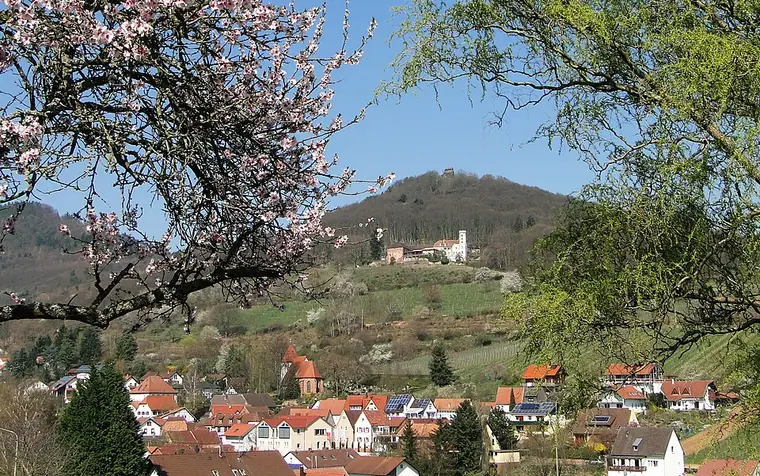 Ortsansicht von Leinsweiler