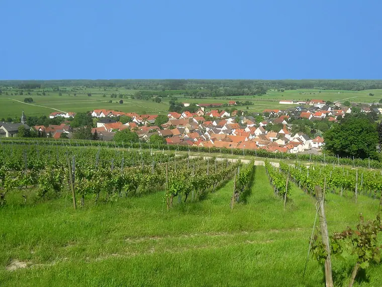 Ortsansicht von Ludwigshöhe
