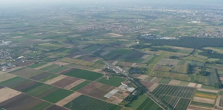 Ortsansicht von Mutterstadt