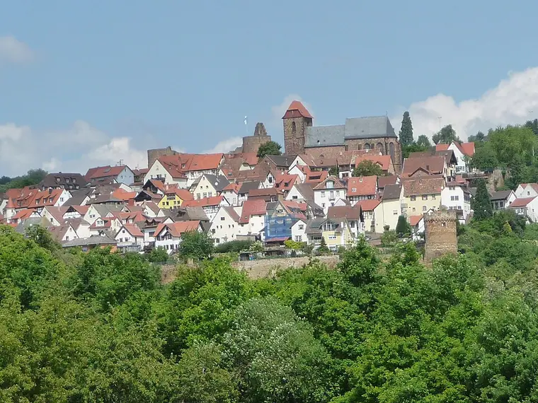 Ortsansicht von Neuleiningen