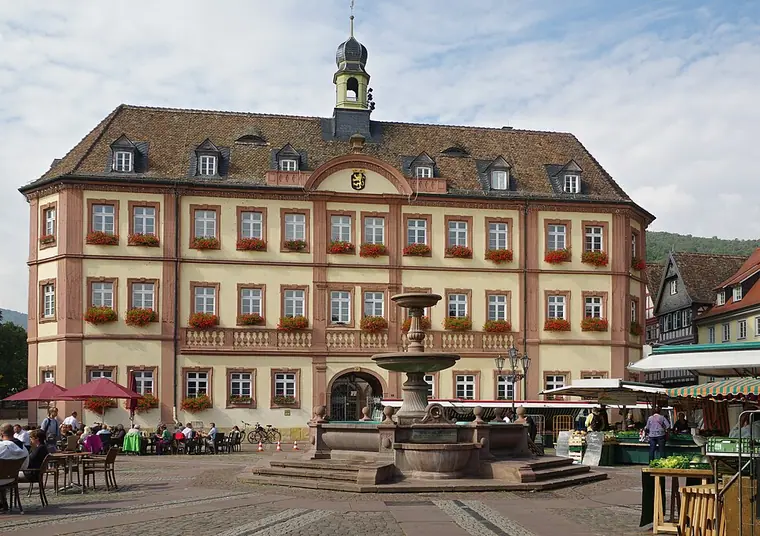 Ortsansicht von Neustadt an der Weinstraße