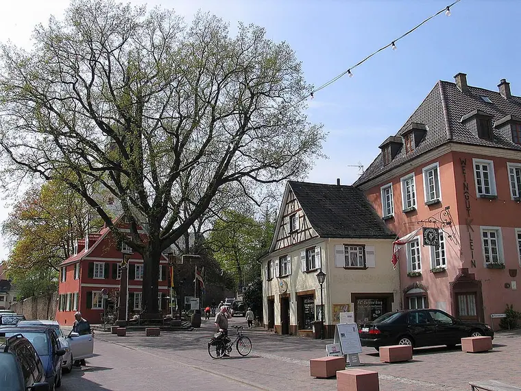 Ortsansicht von Nierstein