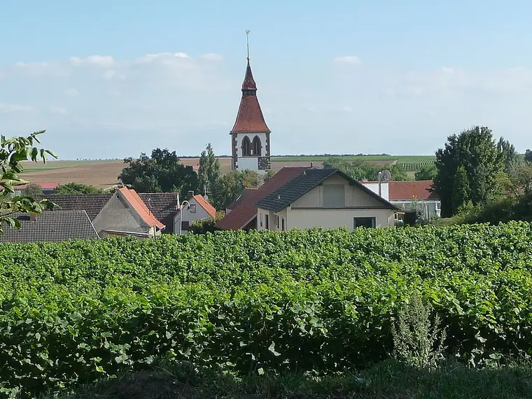 Ortsansicht von Obrigheim (Landkreis Bad Dürkheim)
