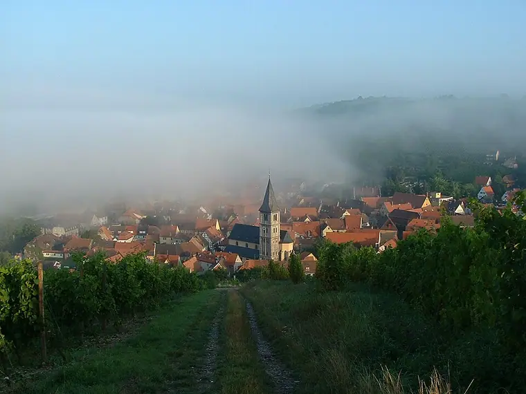 Ortsansicht von Randersacker