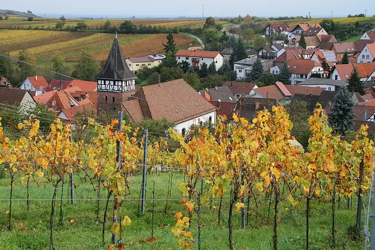 Ortsansicht von Ranschbach