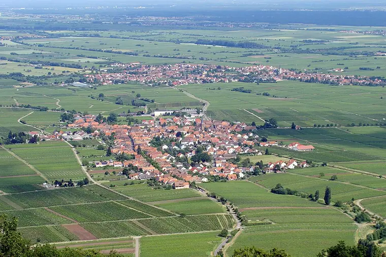 Ortsansicht von Rhodt unter Rietburg