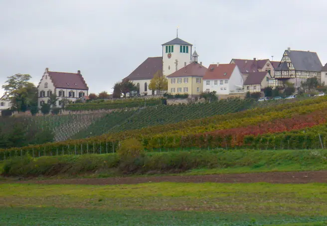 Ortsansicht von Sachsenheim
