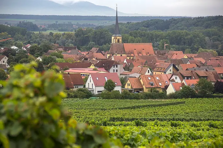 Ortsansicht von Sommerach