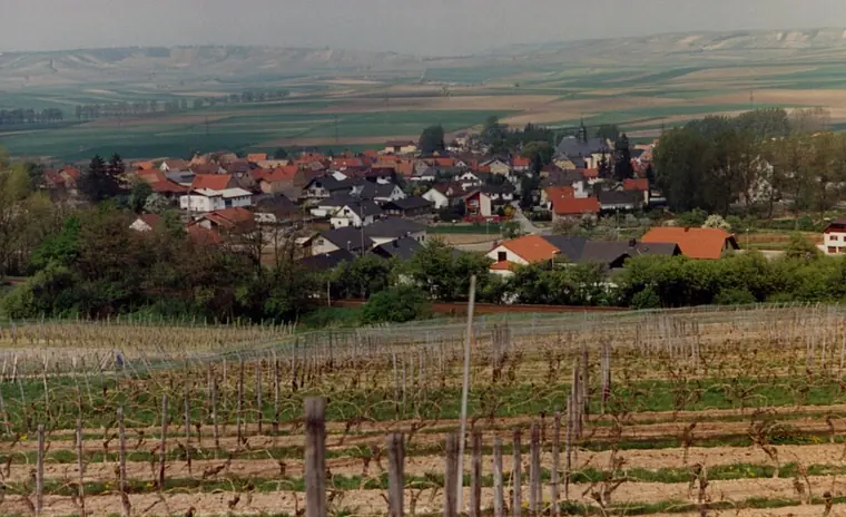 Ortsansicht von Sulzheim