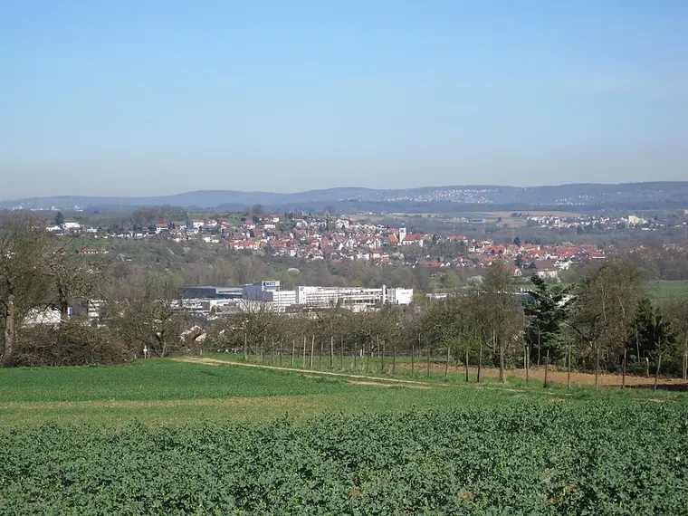 Ortsansicht von Unterensingen