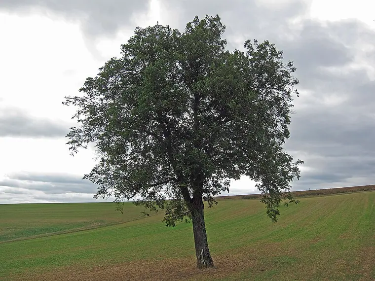 Ortsansicht von Urspringen