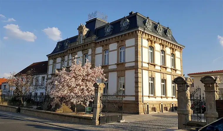 Ortsansicht von Wachenheim an der Weinstraße