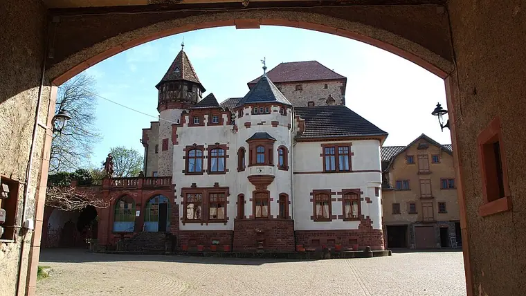 Ortsansicht von Wachenheim