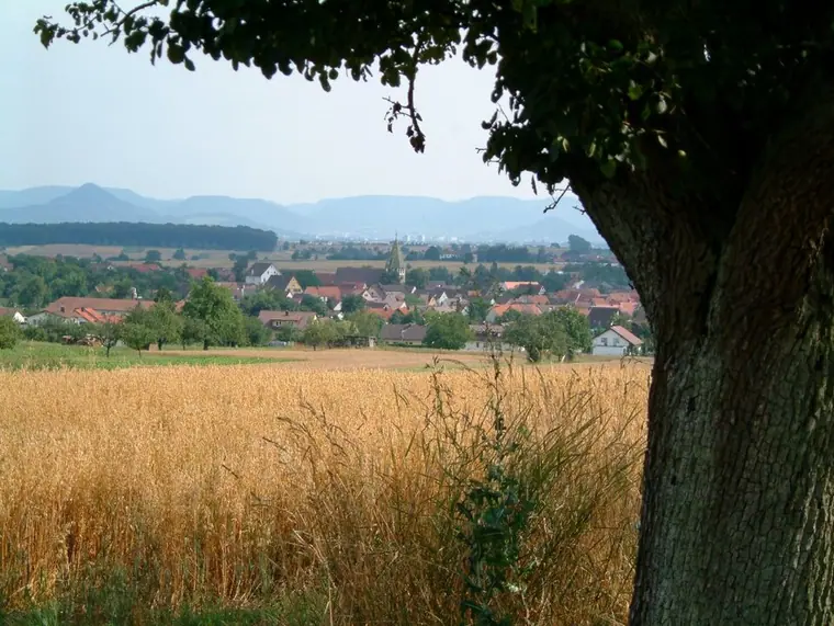 Ortsansicht von Walddorfhäslach
