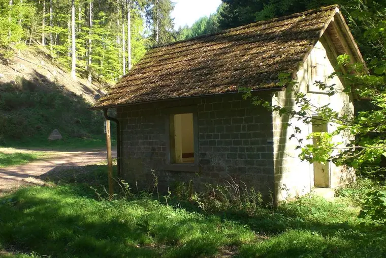 Ortsansicht von Waldleiningen