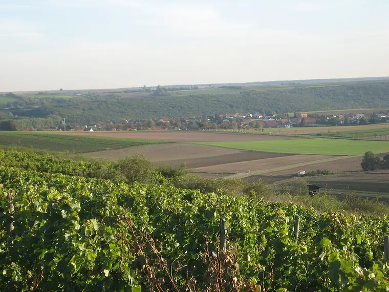 Ortsansicht von Wendelsheim