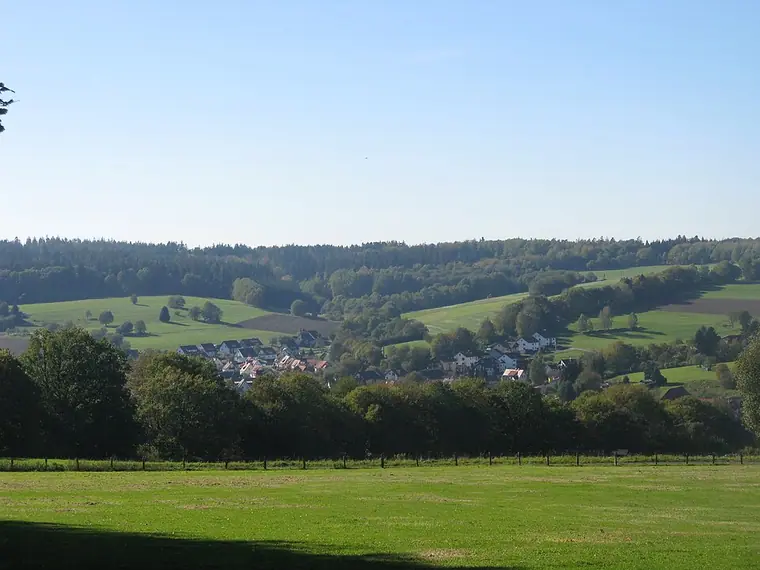 Ortsansicht von Wiesen