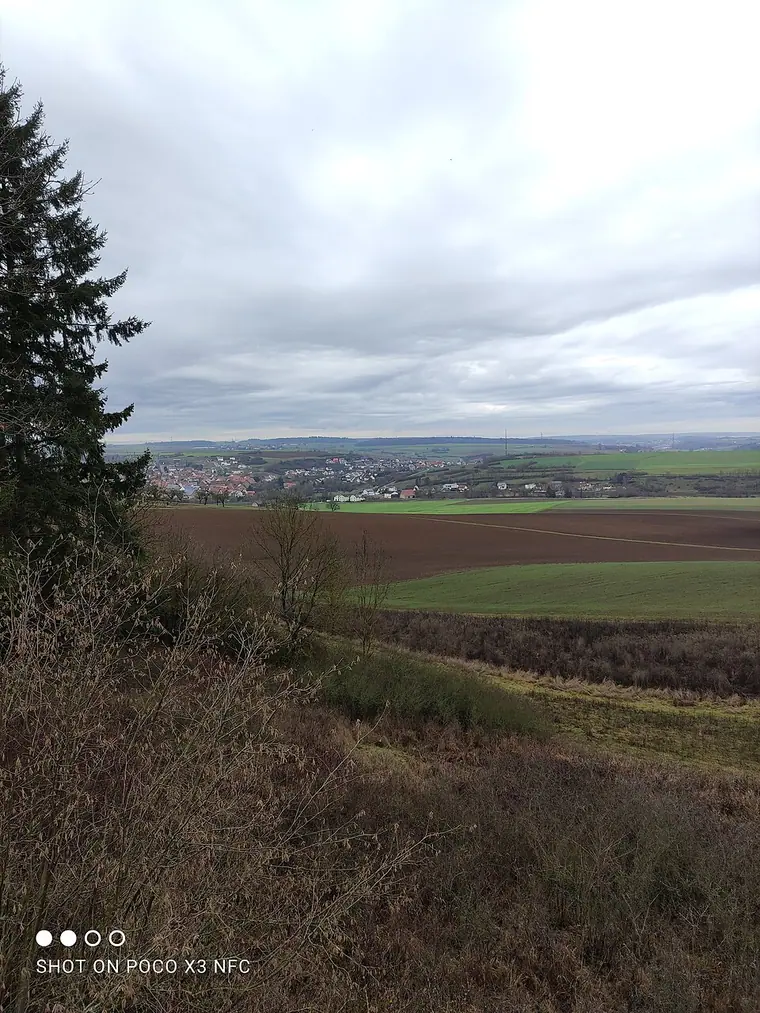 Ortsansicht von Wittighausen