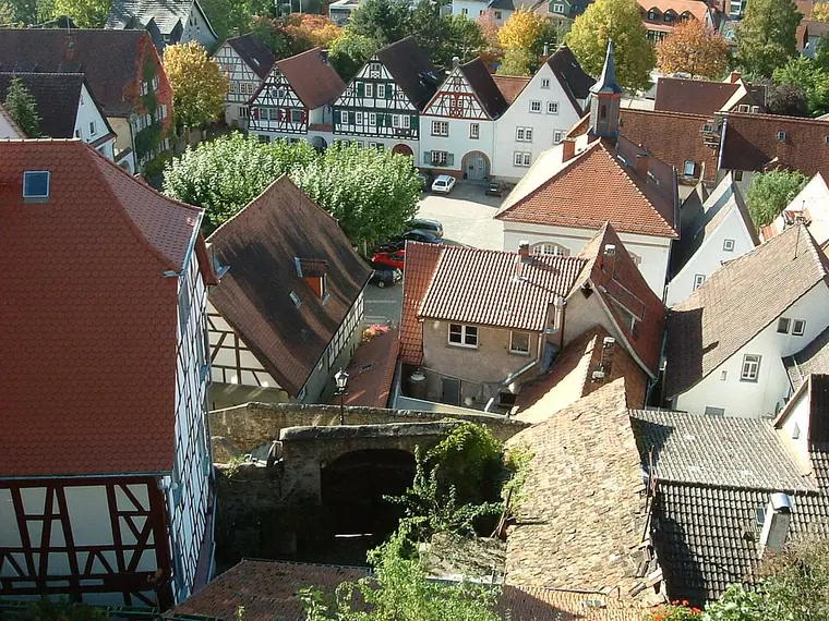 Ortsansicht von Zwingenberg (Landkreis Bergstraße)